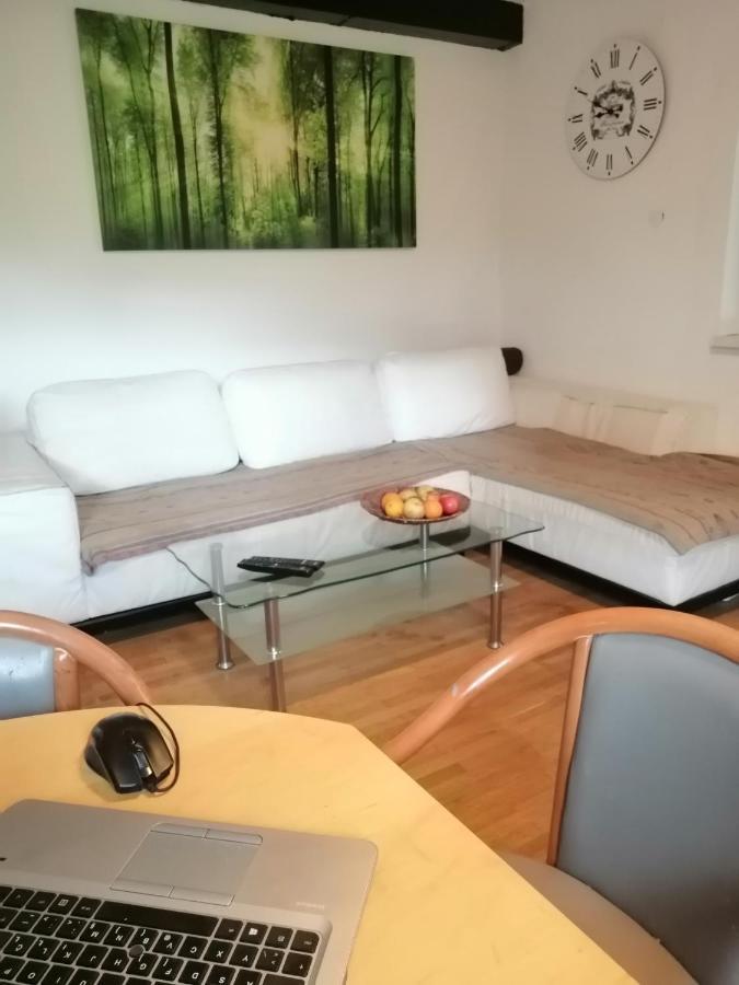 Apartma Zeus Jesenice Room photo